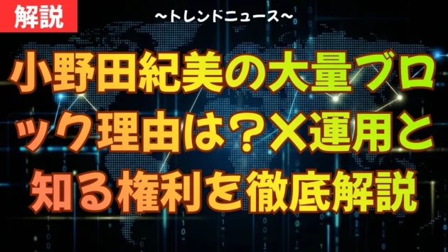 小野田紀美の大量ブロック理由は？X運用と知る権利を徹底解説