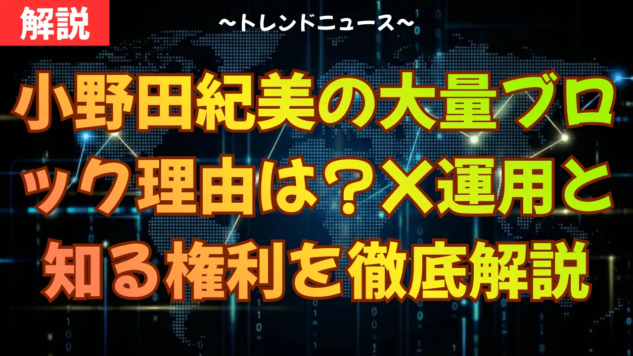 小野田紀美の大量ブロック理由は?X運用と知る権利を徹底解説