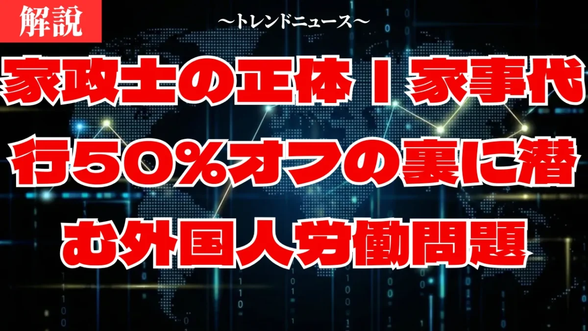 家政士制度で家事は楽になる？フランス式導入の光と影を解説