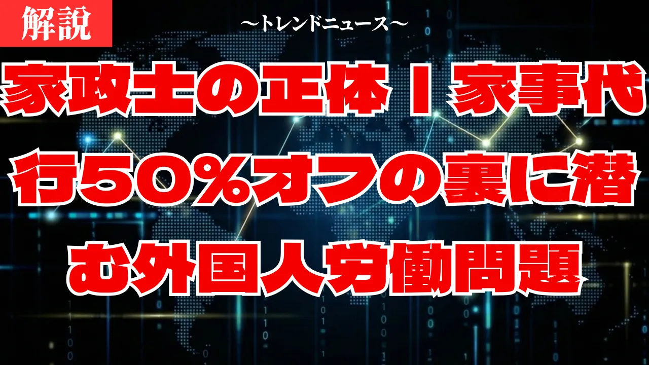 家政士制度で家事は楽になる？フランス式導入の光と影を解説