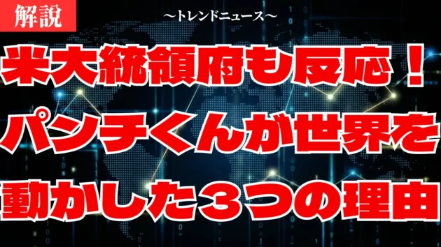 パンチくんの感動ストーリー！オランママと歩む自立への道