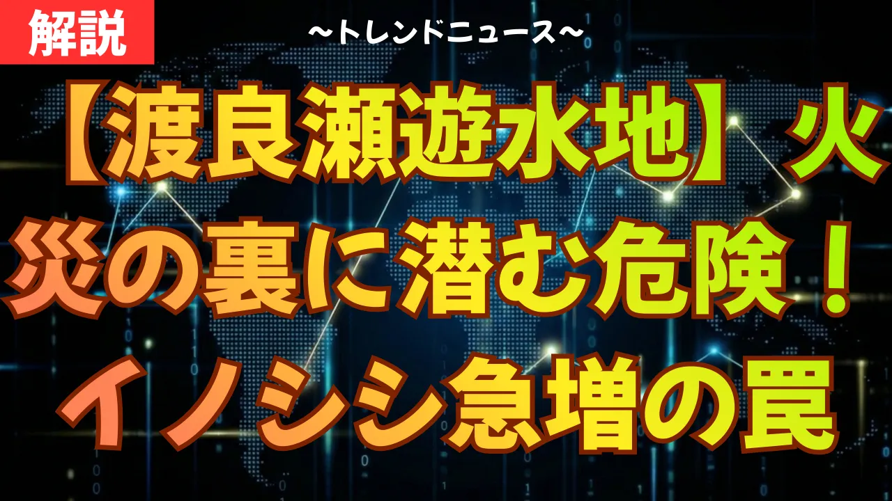【渡良瀬遊水地】火災の裏に潜む危険!イノシシ急増の罠