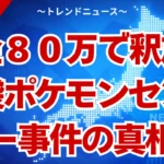 【池袋ポケモンセンター事件】なぜ悲劇は起きたのか