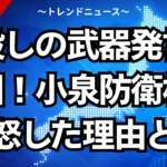 人殺しの武器発言の真相！小泉防衛相が激怒した理由とは