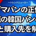 コグマパンの正体！話題の韓国パンの秘密と購入先を解説