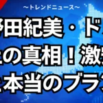 小野田紀美・ドレス炎上の真相！激安デマと本当のブランドとは