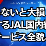 知らないと大損！激変するJAL国内線の新サービス全貌とは