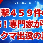 クマ出没！富山市住宅街で何が？春の空腹と河川敷の死角