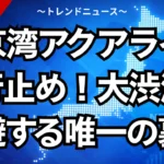 東京湾アクアライン通行止め！大渋滞を回避する唯一の裏技