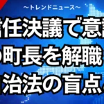 不信任決議で意識不明の町長を解職！地方自治法の盲点とは