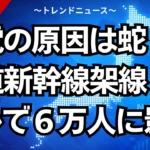 停電の原因は蛇？東海道新幹線架線トラブルで６万人に影響