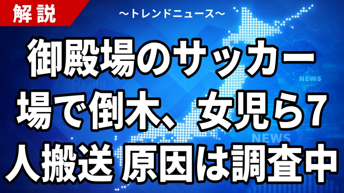 御殿場のサッカー場で倒木、女児ら7人搬送 原因は調査中