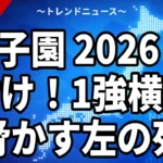 甲子園 2026 格付け！1強横浜を脅かす左の死角