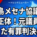 福島メセナ協議会とは｜亀岡偉民元衆院議員に罰金50万円の有罪判決【9/25】