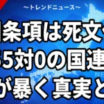 【9/27】岡本さゆり川口市議の敵国条項投稿に反発 国連決議と何が違う