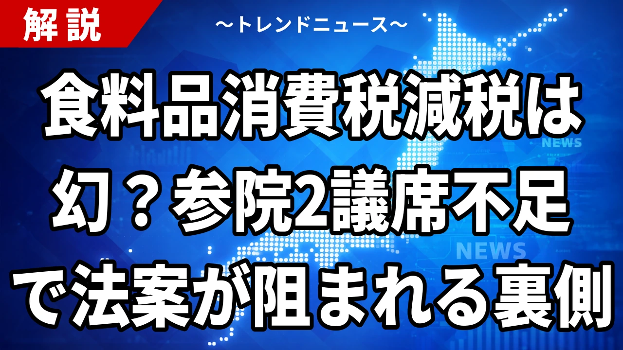 【7/30】食料品の消費税1%を首相指示｜参院2議席不足で法案は通るのか