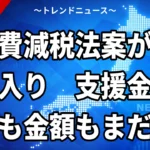 【10/20】消費減税法案が衆院審議入り｜就業者負担軽減支援金の対象と首相答弁